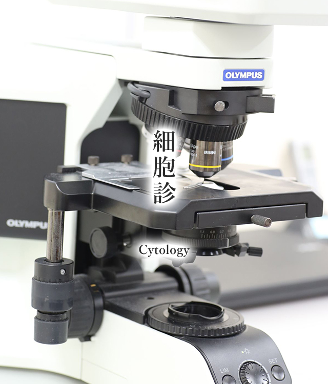 一般社団法人甲府市医師会 健診・検査センター 細胞診