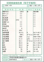 検査報告書③